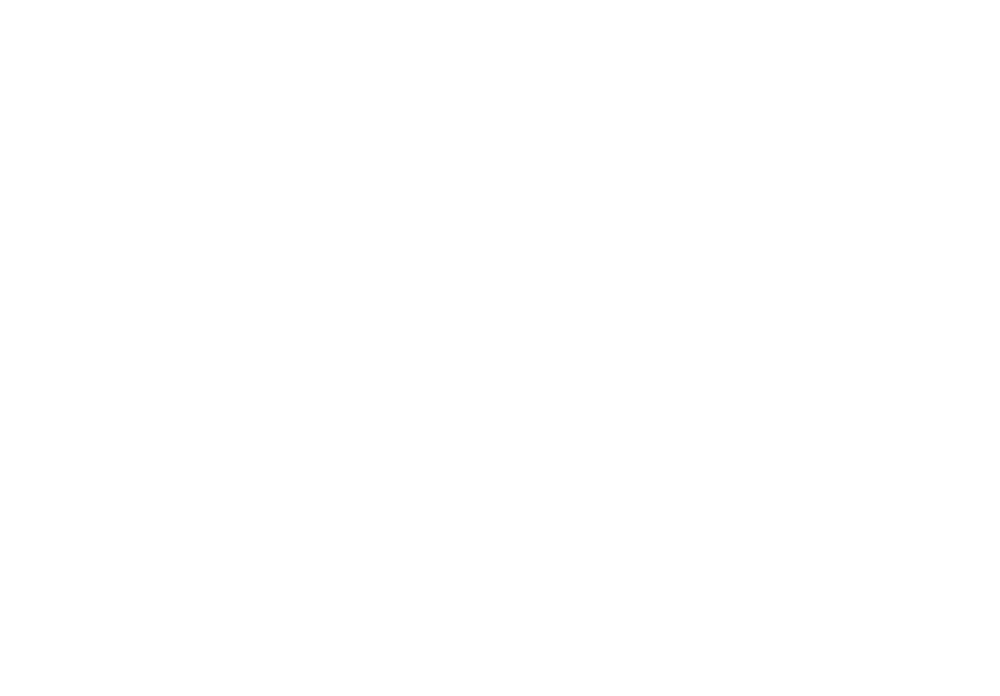 logo sacem